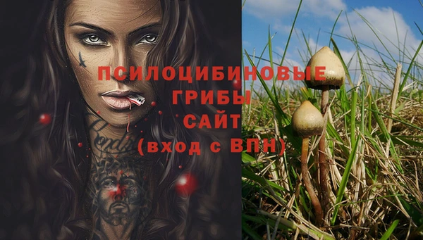 мескалин Каменка