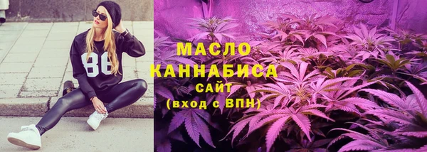 mdpv Каменногорск