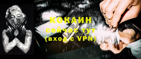 mdpv Каменногорск