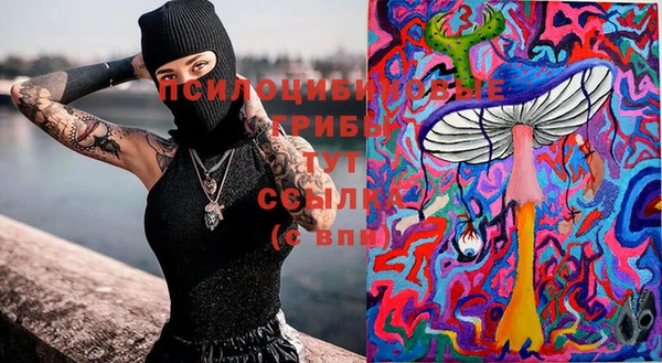мескалин Каменка