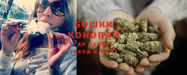 mdpv Каменногорск