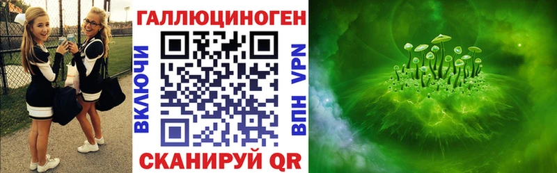 Купить  Дмитриев  Галлюциногенные грибы ЛСД 