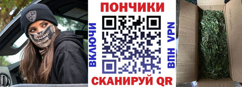 Купить где  Дмитриев  Канабис THC 21% 